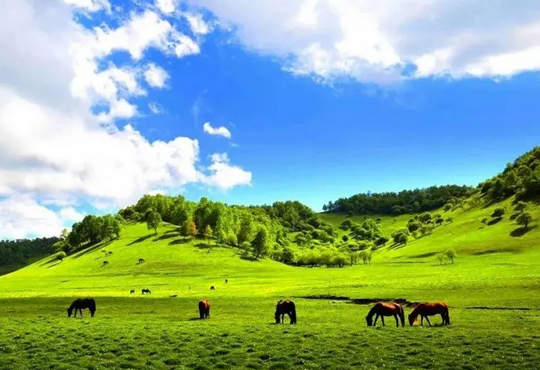 寶雞網(wǎng)站設(shè)計(jì)素材_寶雞網(wǎng)頁(yè)設(shè)計(jì)素材-【云浪科技】