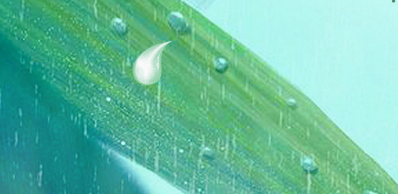 微信截圖_20230329204825.png